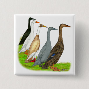 Runner Duck Assortment 15 Cm Square Badge