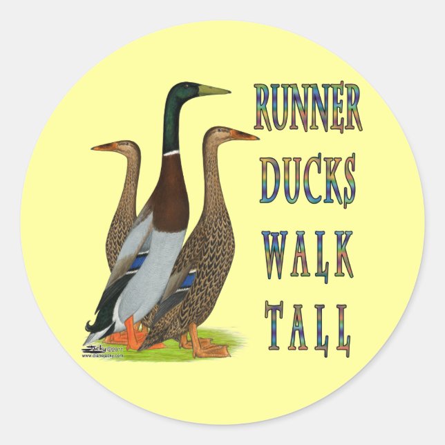Runner Ducks Walk Tall Classic Round Sticker (Front)