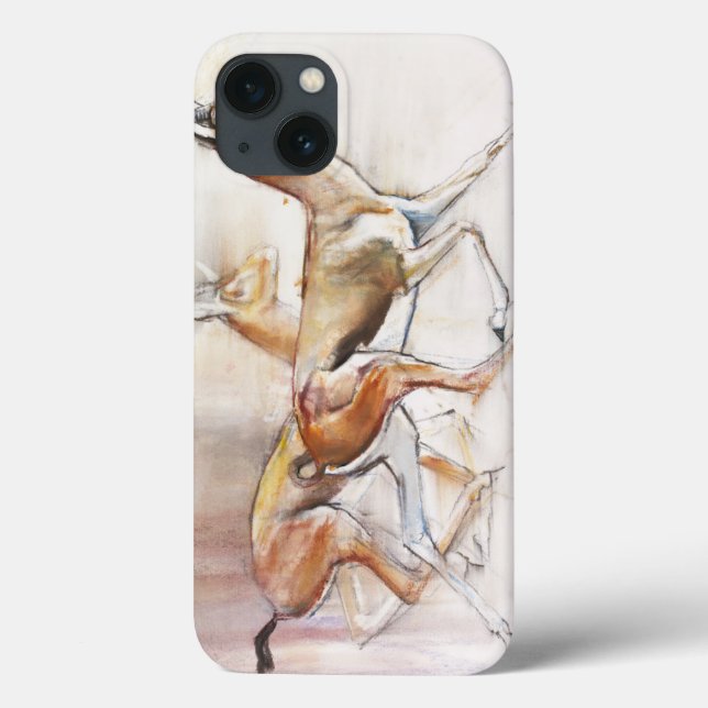 Running Arabian Gazelles 2010 Case-Mate iPhone Case (Back)