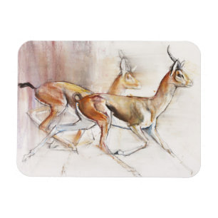 Running Arabian Gazelles 2010 Magnet