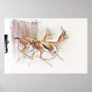 Running Arabian Gazelles 2010 Poster