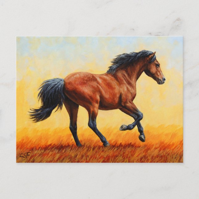Running Bay Horse Wild Mustang Postcard (Front)