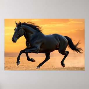 Running Black Stallion Poster