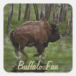 Running Buffalo & Forest, Bison-lover's Design Square Sticker