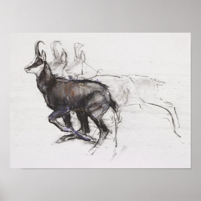 Running Chamois Poster (Front)