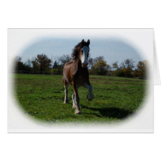 Running Clydesdale