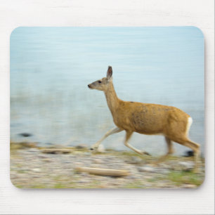 Running Doe Mousepad