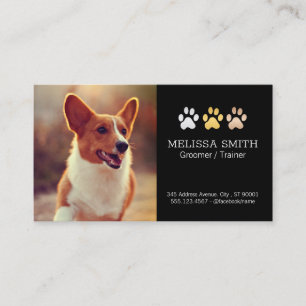 Running Dog Dog Trainer and Groomer Appt Appointment Card