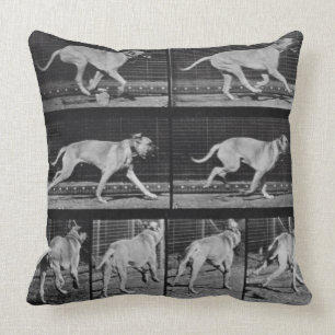Running Dog, plate 707 from 'Animal Locomotion', 1 Cushion