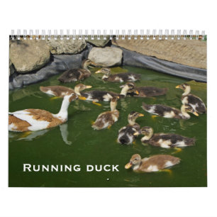 Running duck calendar