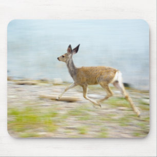Running Fawn Mousepad