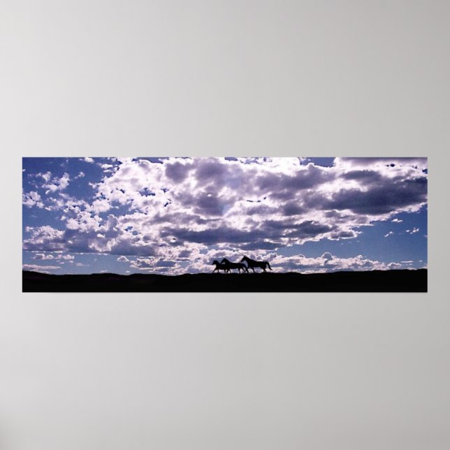 Running Free 2 Poster (Front)