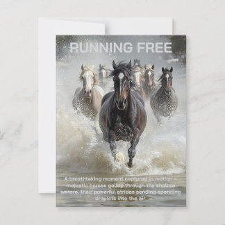 Running Free  Postcard