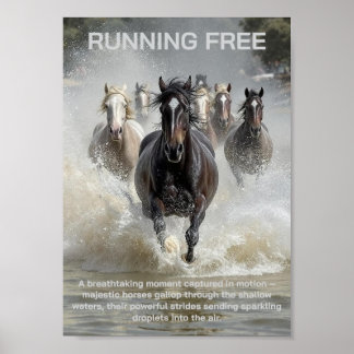Running Free Poster