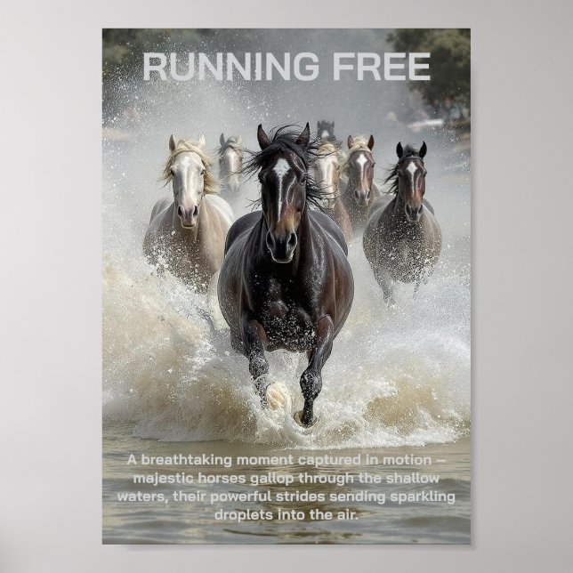 Running Free  Poster (Front)