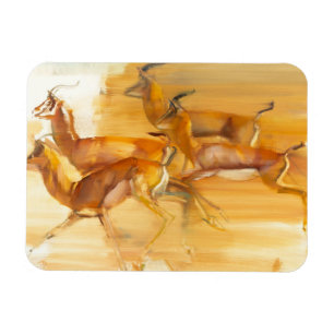 Running Gazelles 2010 Magnet