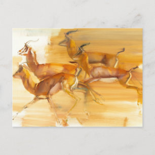 Running Gazelles 2010 Postcard