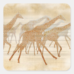 Running Giraffes Square Sticker