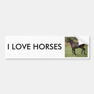 Running-Horse-2 Bumper Sticker