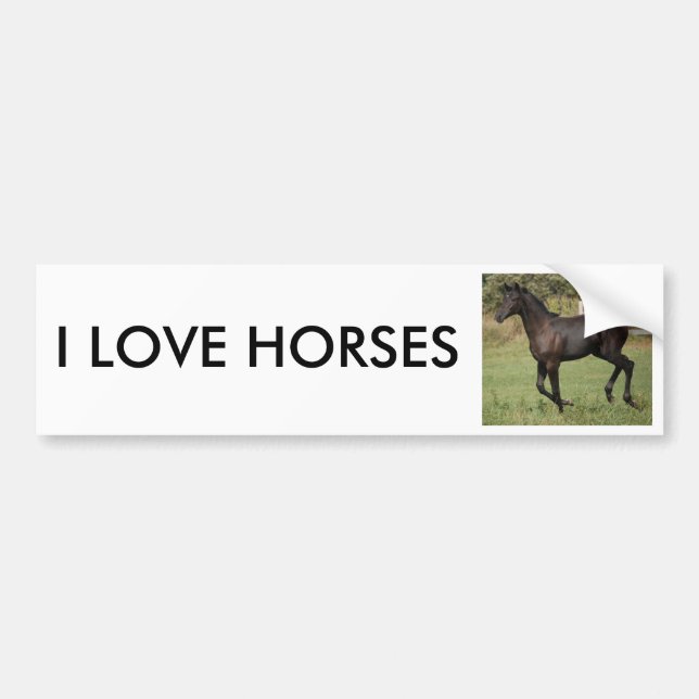 Running-Horse-2 Bumper Sticker (Front)