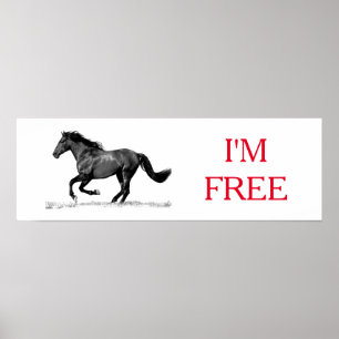 Running Horse Black White I'm Free Freedom Poster