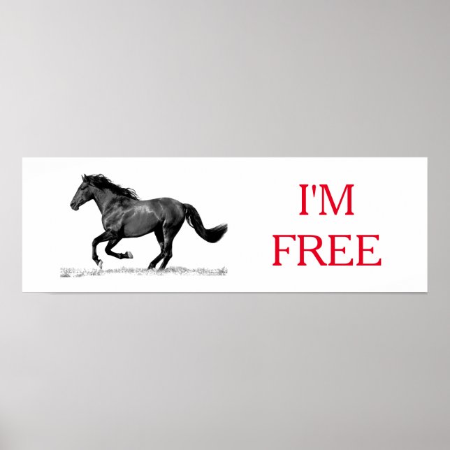 Running Horse Black White I'm Free Freedom Poster (Front)