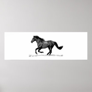 Running Horse Black White Poster
