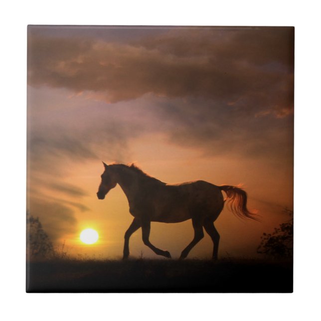 Running Horse in Sunrise Art Tile (Front)