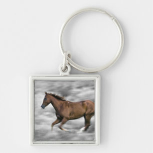 Running horse key ring