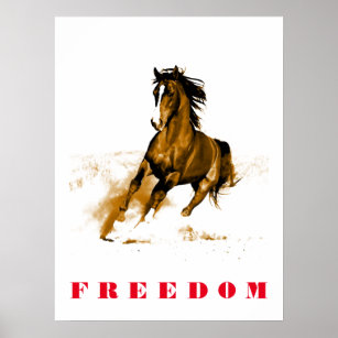 Running Horse Motivational Artwork Poster
