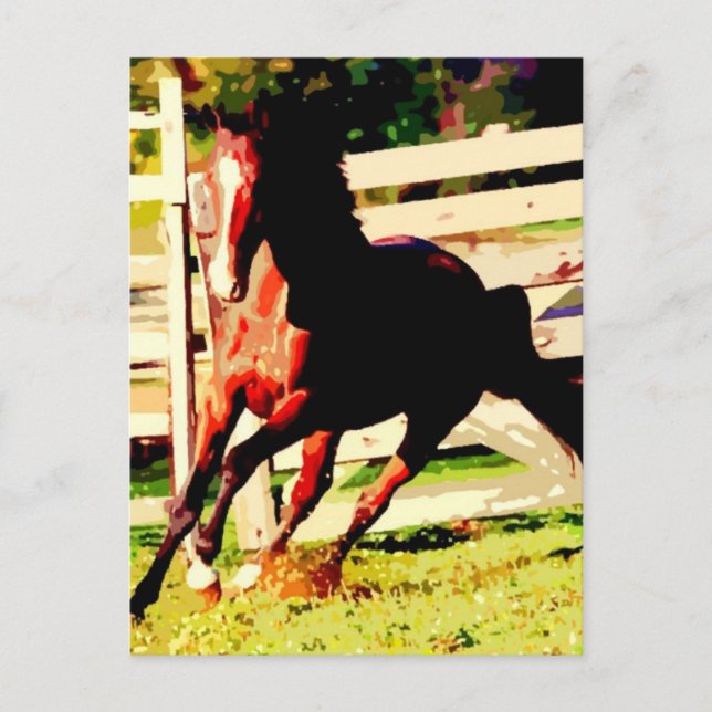 Running Horse Postcard (Front)