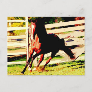 Running Horse Postcard