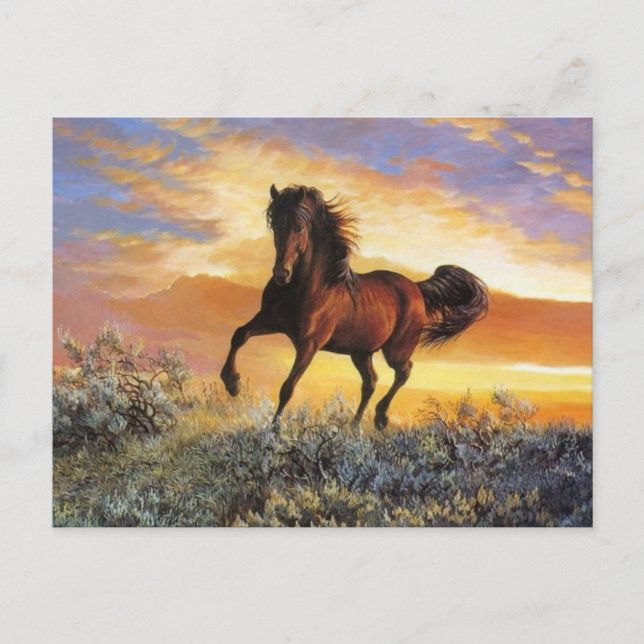 Running Horse Postcard (Front)