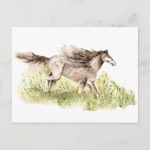 Running Horse Postcard