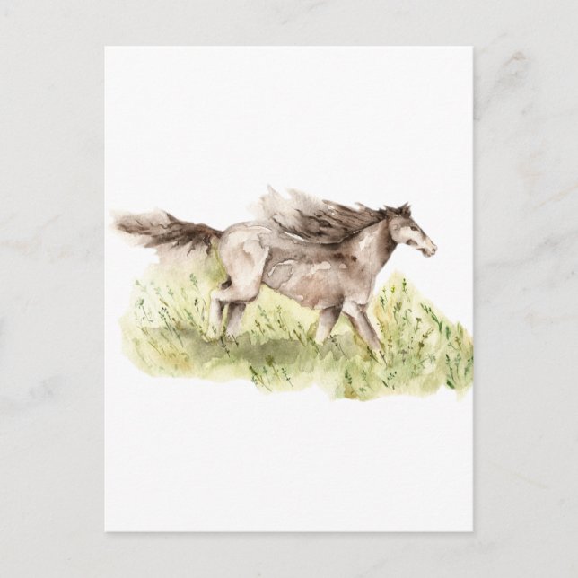 Running Horse Postcard (Front)