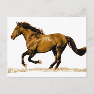 Running Horse Postcard