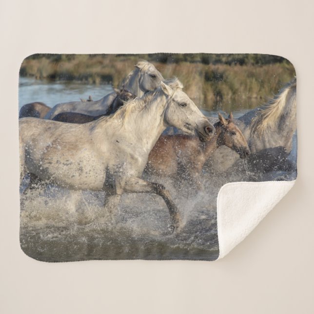 running horses blanket (Front (Horizontal))