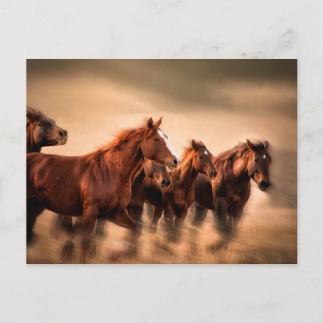 Running horses, blur and flying manes postcard (Front)