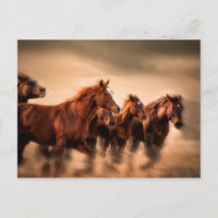 Running horses, blur and flying manes