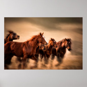 Running horses, blur and flying manes poster