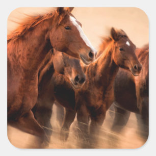 Running horses, blur and flying manes square sticker