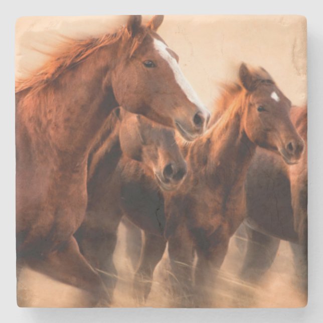 Running horses, blur and flying manes stone coaster (Front)