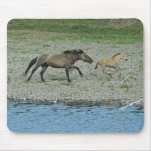 running horses mouse pad