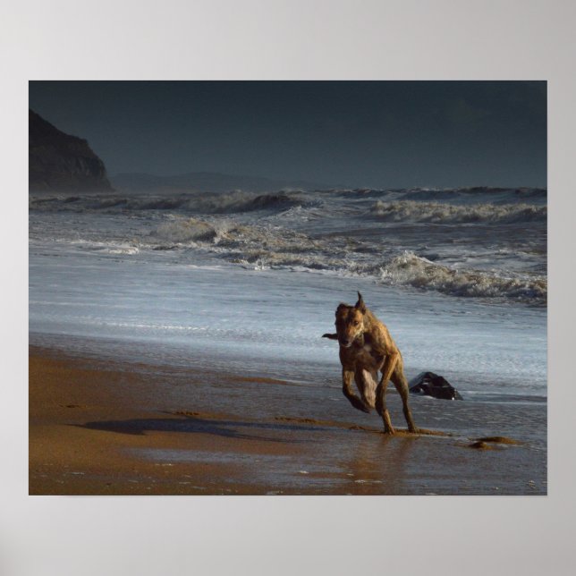 Running Lurcher on Beach Poster (Front)