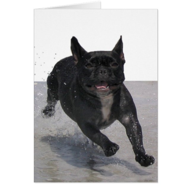 Running on the Beach, Paris Merille (Front)