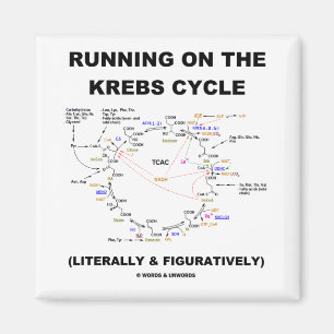 Running On The Krebs Cycle (Science Humour) Magnet