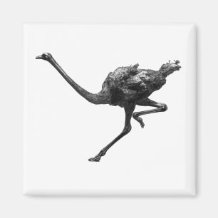 Running Ostrich Ink Sketch, Cool Athlete Bird Art Magnet