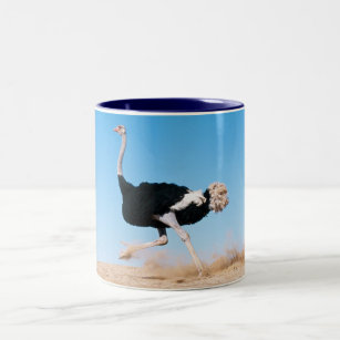 Running Ostrich Mug
