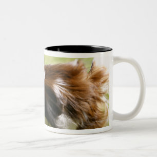 Running Papillon Two-Tone Coffee Mug