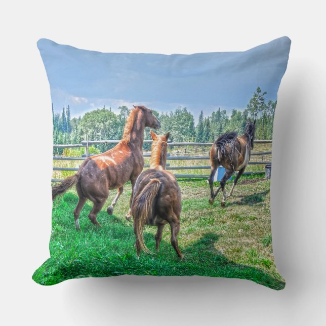 Running Pinto Paint Gelding & Chestnut Stallions Cushion (Front)
